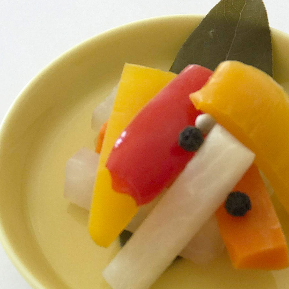 カラフルスティック(洋風ピクルス)【Pickles Lab Hokkaido(北海道ピクルス研究所)】